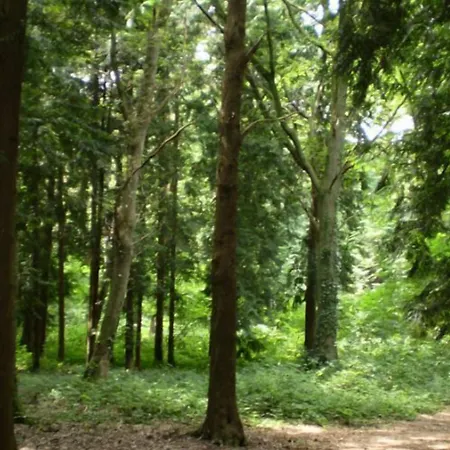 Le Pigeonnier Du Perron 3*